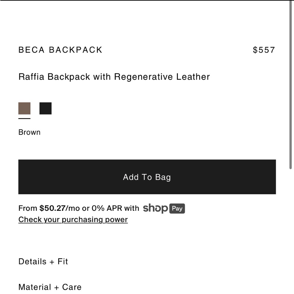 NWT Janessa Leone Straw Beca Bag - Picture 5 of 5